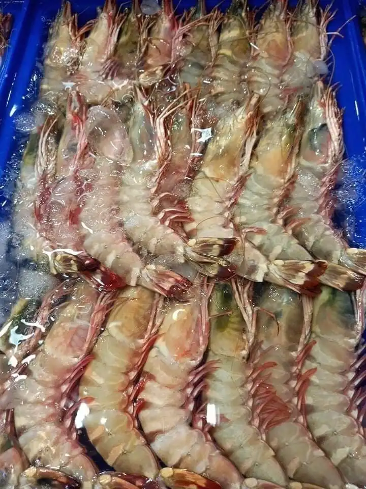 เกี่ยวกับเรา (About Us) 8 talaylanphoseafood 102 อาหารทะเล