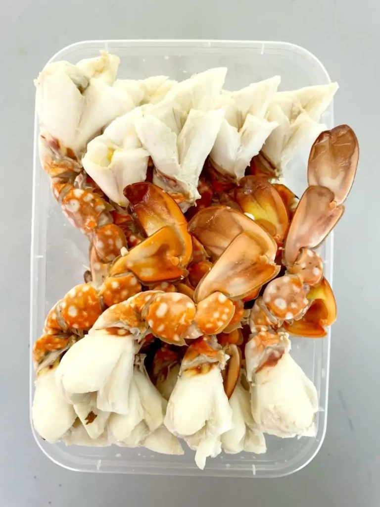 talaylanphoseafood 131 ร้านอาหารพัทยา