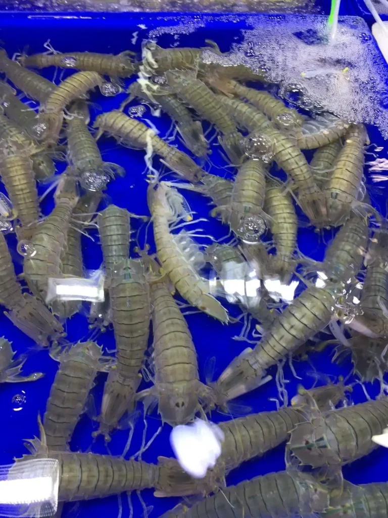 talaylanphoseafood 57 อาหาร