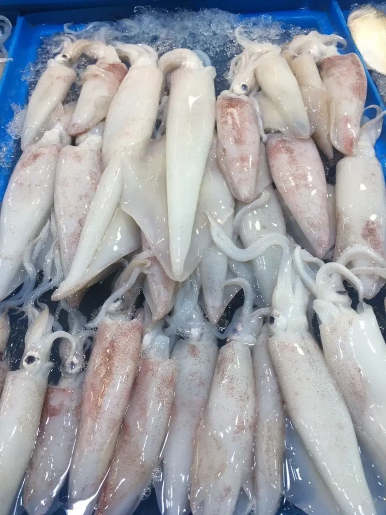 talaylanphoseafood 66 อาหาร