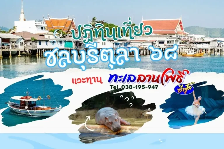 ปฏิทินเที่ยวชลบุรี ตุลาคม 2568:แวะทะเลลานโพธิ์ ซีฟู๊ด พัทยา 8 ปฏิทินเที่ยวชลบุรี ตุลาคม 2568:แวะทะเลลานโพธิ์ ซีฟู๊ด พัทยา