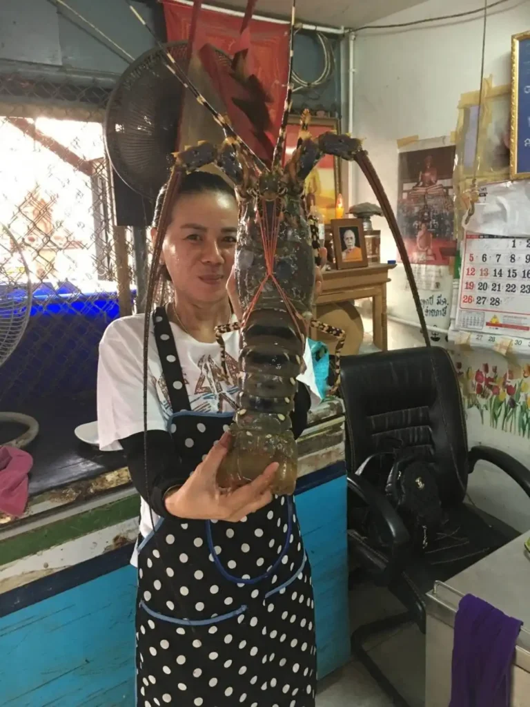 ทะเลลานโพธิ์ซีฟู๊ด TalayLanPhoSeafood ของฝาก ของสด