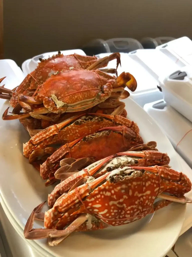 ทะเลลานโพธิ์ซีฟู๊ด TalayLanPhoSeafood ของฝาก ของสด