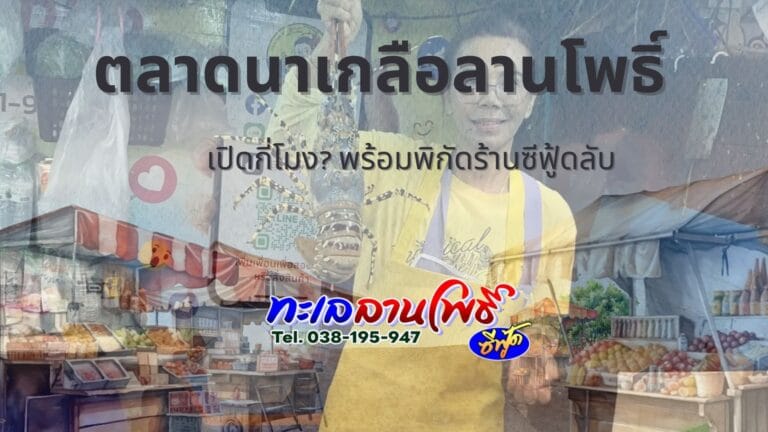 ตลาดนาเกลือลานโพธิ์ เปิดกี่โมง? รีวิวพิกัดร้านซีฟู้ดลับ 9 ตลาดนาเกลือลานโพธิ์ เปิดกี่โมง? พร้อมพิกัดร้านซีฟู้ดลับ