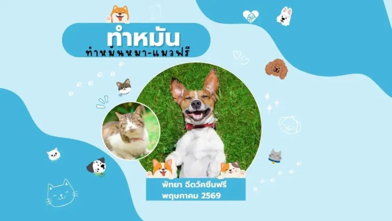 ทําหมันหมาแมวฟรี ใกล้ฉัน พัทยา ฉีดวัคซีนฟรี พฤษภาคม 2569 6 ทําหมัน สุนัข แมว ฟรี พัทยา