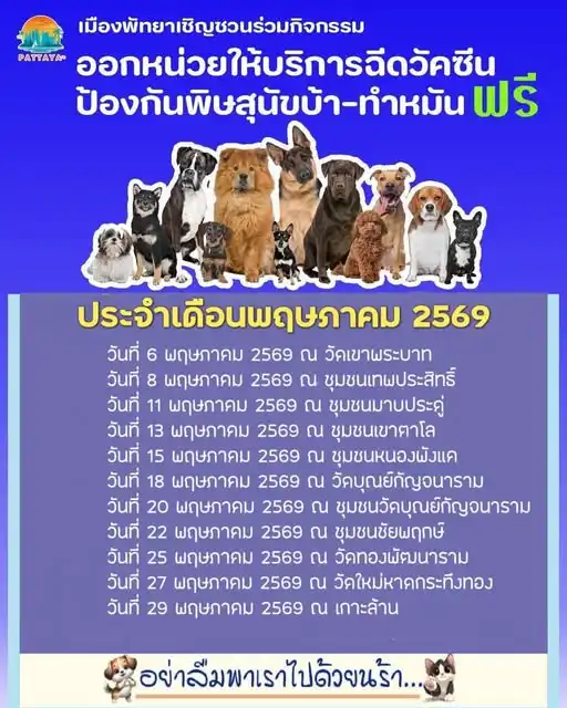 ทําหมัน สุนัข แมว ฟรี พัทยา