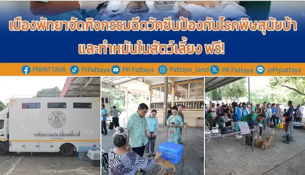 ทําหมัน สุนัข แมว ฟรี พัทยา