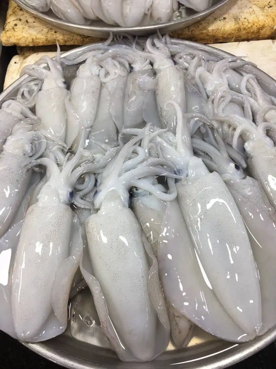 หมึกกล้วยสด 3 ดเกรดพรีเมียม ส่งตรงจากทะเลลานโพธิ์ นาเกลือ พัทยา