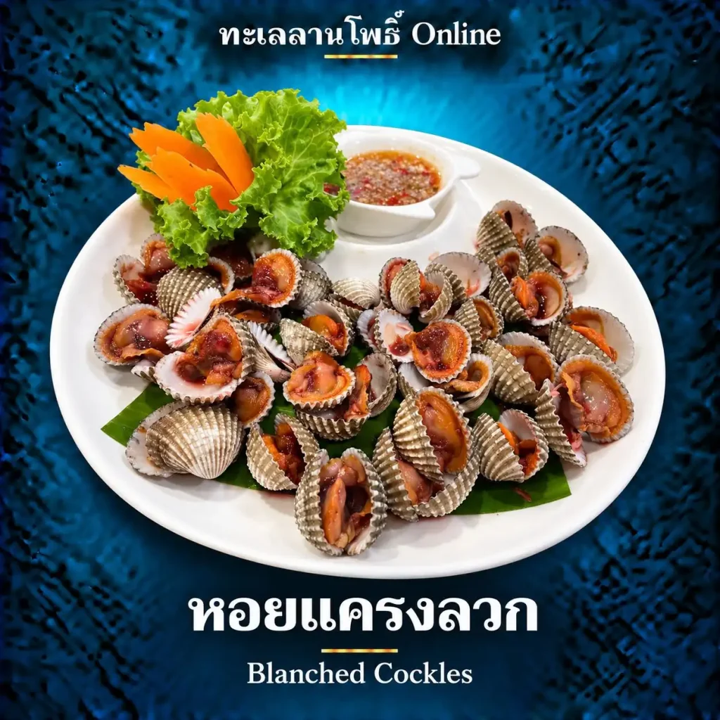 blanched cockles