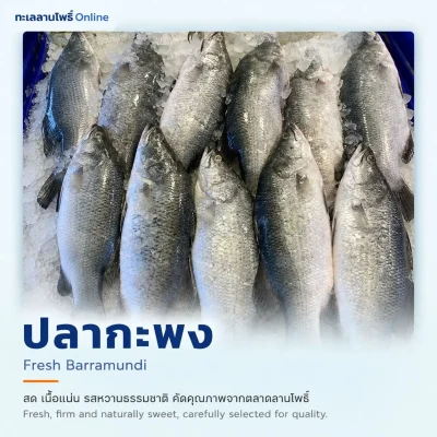 ปลากะพงขาวสดวางเรียงบนน้ำแข็งบด ตลาดลานโพธิ์ นาเกลือ พัทยา