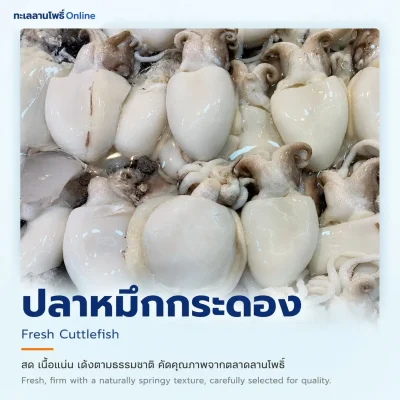 ปลาหมึกกระดองสดเนื้อขาวแน่นคัดคุณภาพ ตลาดลานโพธิ์ นาเกลือ พัทยา