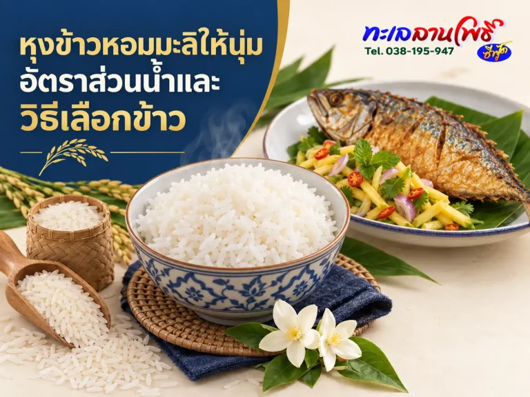 หุงข้าวหอมมะลิให้นุ่ม: อัตราส่วนน้ำและวิธีเลือกข้าว 1 หุงข้าวหอมมะลิให้นุ่ม: อัตราส่วนน้ำและวิธีเลือกข้าว
